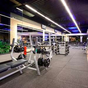 Fitness