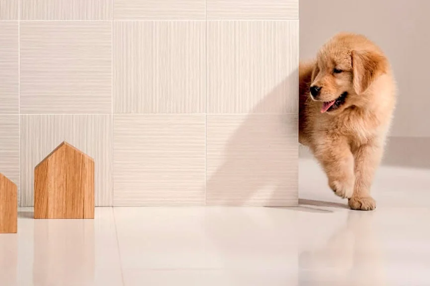 Qual piso adequado para animais?