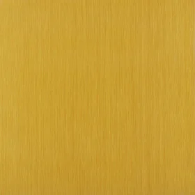 24072549
